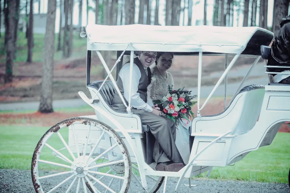 The horse-drawn carriage