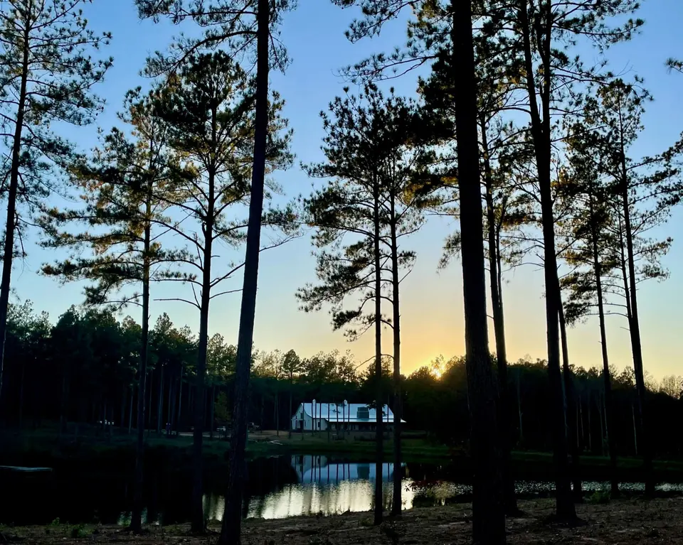 Pines reflected in the lake at sunset